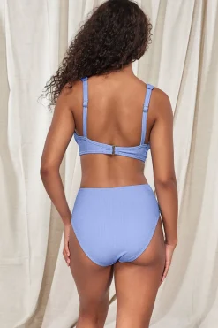 Clearance Sunsets Pacifica Hydrangea Mirabella Top