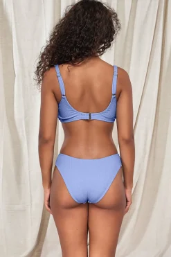 Hot Sunsets Pacifica Hydrangea Sandy Scoop Bottom