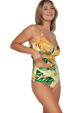 Best Sunsets Amber Oasis Zuri V-Wire Tankini Top