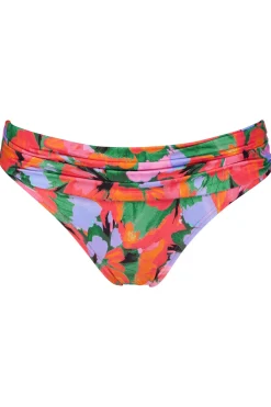 New Sunsets Hummingbird Cove Unforgettable Bottom